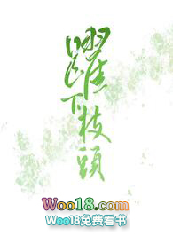 印象主题农家院